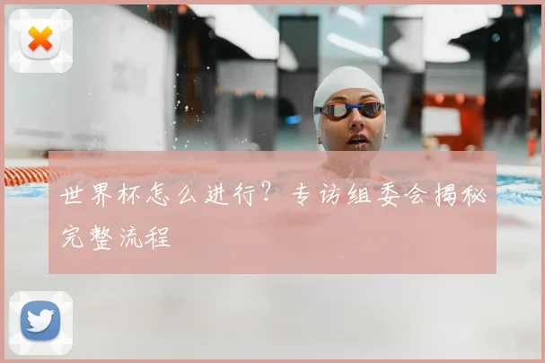 世界杯怎么进行?专访组委会揭秘完整流程