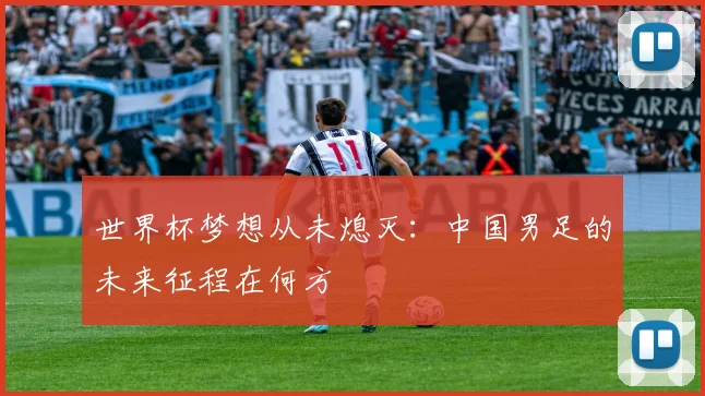 世界杯梦想从未熄灭:中国男足的未来征程在何方