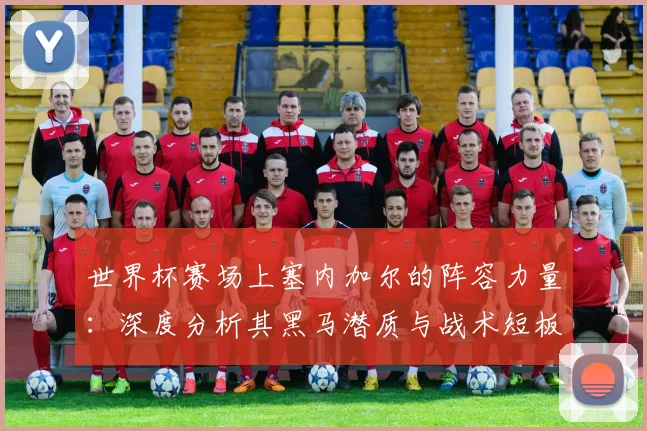 世界杯赛场上塞内加尔的阵容力量：深度分析其黑马潜质与战术短板