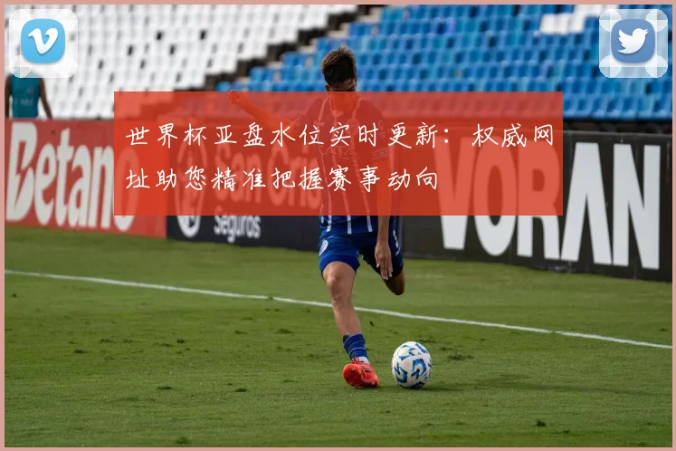 世界杯亚盘水位实时更新：权威网址助您精准把握赛事动向