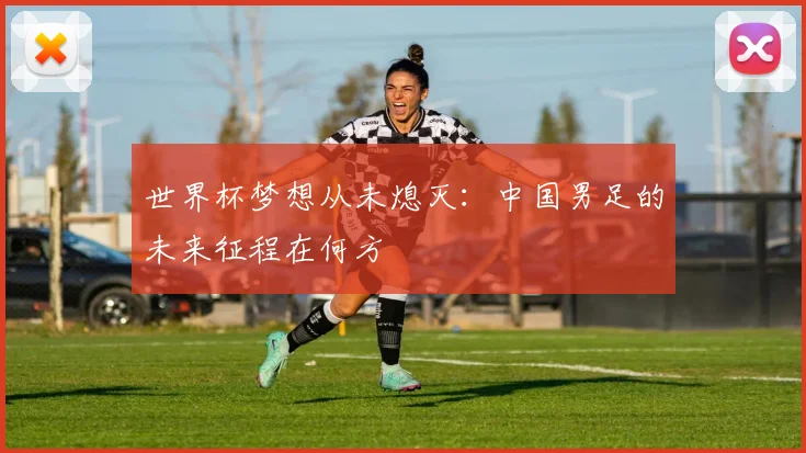 世界杯梦想从未熄灭:中国男足的未来征程在何方