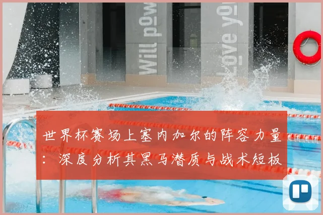 世界杯赛场上塞内加尔的阵容力量：深度分析其黑马潜质与战术短板