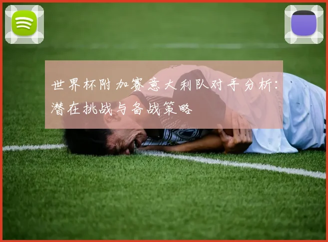 世界杯附加赛意大利队对手分析：潜在挑战与备战策略